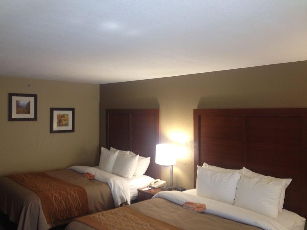 Comfort Inn Biltmore West Ашвил Екстериор снимка